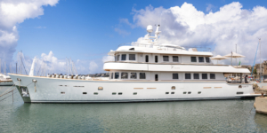 Terranova 115